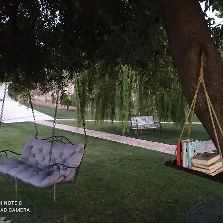 Volver بيسْكيتْشّي