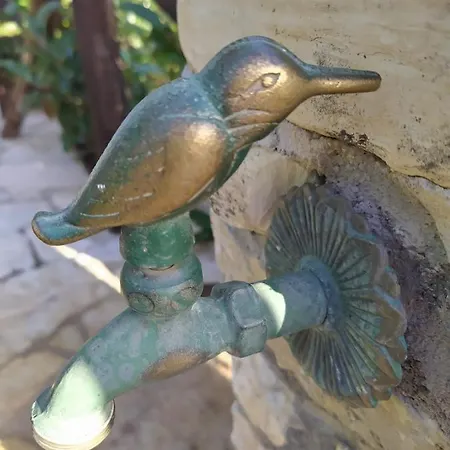 فندق مبيت وإفطار Volver بيسْكيتْشّي