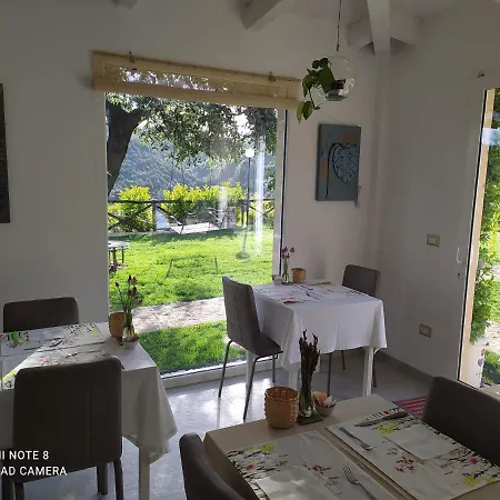 Volver 4* بيسْكيتْشّي