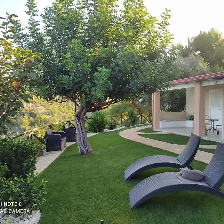 Volver 4* פסקיצ'י